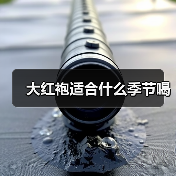 大红袍适合什么季节喝（图3）