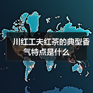 川红工夫红茶的典型香气特点是什么（图4）