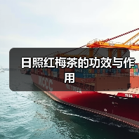 日照红梅茶的功效与作用（图4）