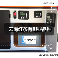 云南红茶有哪些品种（图1）