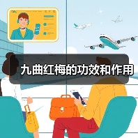 九曲红梅的功效和作用(图1) 九曲红梅的功效和作用(图1)