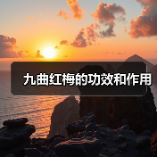 九曲红梅的功效和作用(图4) 九曲红梅的功效和作用(图4)