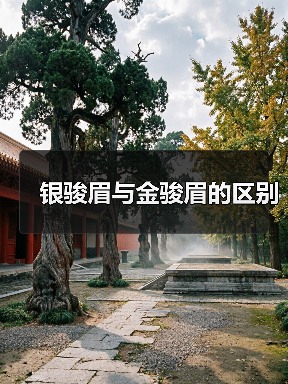 银骏眉与金骏眉的区别(图2) 银骏眉与金骏眉的区别(图2)
