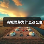 青城雪芽为什么这么贵(图1) 青城雪芽为什么这么贵(图1)