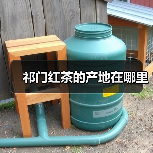 祁门红茶的产地在哪里(图1) 祁门红茶的产地在哪里(图1)