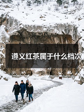 遵义红茶属于什么档次（图2）
