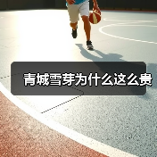 青城雪芽为什么这么贵(图2) 青城雪芽为什么这么贵(图2)