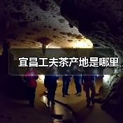 宜昌工夫茶产地是哪里(图2) 宜昌工夫茶产地是哪里(图2)
