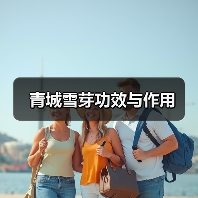 青城雪芽功效与作用(图2) 青城雪芽功效与作用(图2)