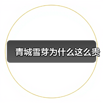 青城雪芽为什么这么贵(图4) 青城雪芽为什么这么贵(图4)