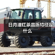 日月潭红茶品质特征是什么(图1) 日月潭红茶品质特征是什么(图1)