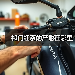 祁门红茶的产地在哪里(图4) 祁门红茶的产地在哪里(图4)