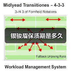 银骏眉保质期是多久(图4) 银骏眉保质期是多久(图4)
