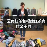 云南红茶和福建红茶有什么不同（图4）