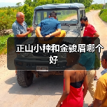 正山小种和金骏眉哪个好(图3) 正山小种和金骏眉哪个好(图3)