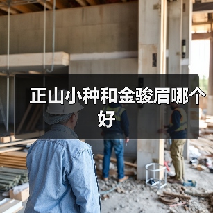 正山小种和金骏眉哪个好(图2) 正山小种和金骏眉哪个好(图2)