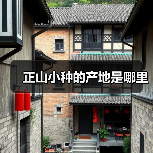 正山小种的产地是哪里(图1) 正山小种的产地是哪里(图1)