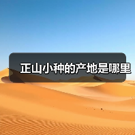 正山小种的产地是哪里(图2) 正山小种的产地是哪里(图2)