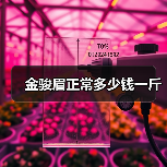 金骏眉正常多少钱一斤（图1）
