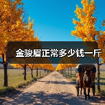 金骏眉正常多少钱一斤（图3）