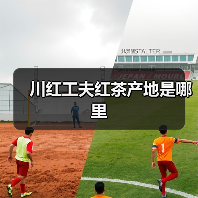 川红工夫红茶产地是哪里(图2) 川红工夫红茶产地是哪里(图2)