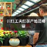 川红工夫红茶产地是哪里(图1) 川红工夫红茶产地是哪里(图1)