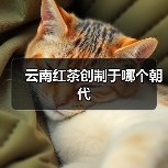 云南红茶创制于哪个朝代(图4) 云南红茶创制于哪个朝代(图4)