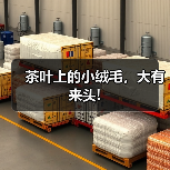 茶叶上的小绒毛，大有来头!（图2）