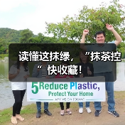 读懂这抹绿，“抹茶控”快收藏！（图2）