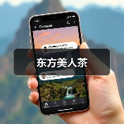 东方美人茶(图1) 东方美人茶(图1)