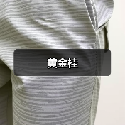 黄金桂（图1）