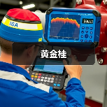 黄金桂（图3）