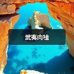 武夷肉桂(图3) 武夷肉桂(图3)