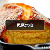 凤凰水仙（图3）