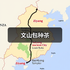 文山包种茶(图2) 文山包种茶(图2)