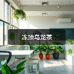 冻顶乌龙茶(图4) 冻顶乌龙茶(图4)