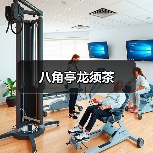 八角亭龙须茶(图3) 八角亭龙须茶(图3)