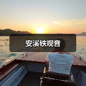 安溪铁观音（图1）