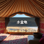 水金龟（图3）