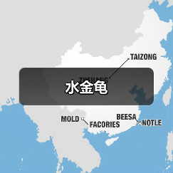 水金龟（图4）