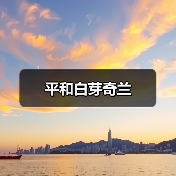 平和白芽奇兰(图1) 平和白芽奇兰(图1)