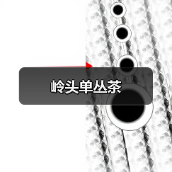 岭头单丛茶(图3) 岭头单丛茶(图3)