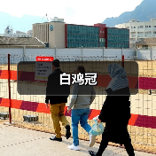 白鸡冠(图4) 白鸡冠(图4)