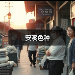 安溪色种(图4) 安溪色种(图4)