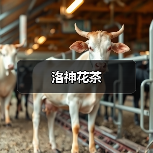 洛神花茶(图3) 洛神花茶(图3)