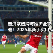 普洱茶选购与维护全攻略!2025年新手实用指南(图2) 普洱茶选购与维护全攻略!2025年新手实用指南(图2)