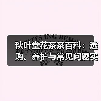 秋叶堂花茶茶百科:选购、养护与常见问题实用指南(图3) 秋叶堂花茶茶百科:选购、养护与常见问题实用指南(图3)