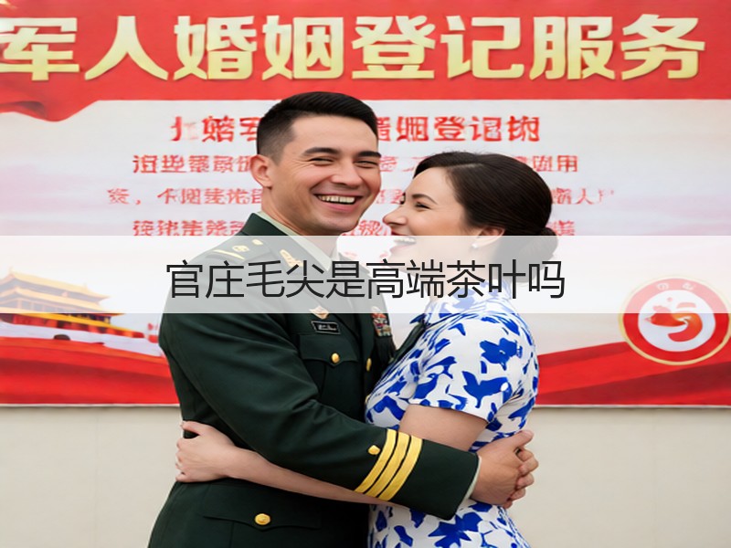 官庄毛尖是高端茶叶吗(图2)