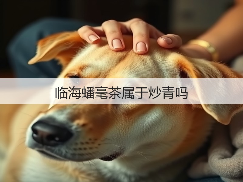 临海蟠毫茶属于炒青吗(图2) 临海蟠毫茶属于炒青吗(图2)