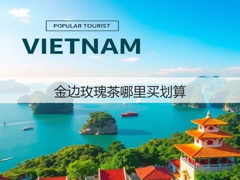 金边玫瑰茶哪里买划算(图2)
